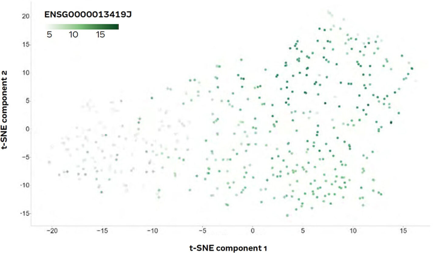 T SNE plot coloured according to transcription intensity of the REG4 gene