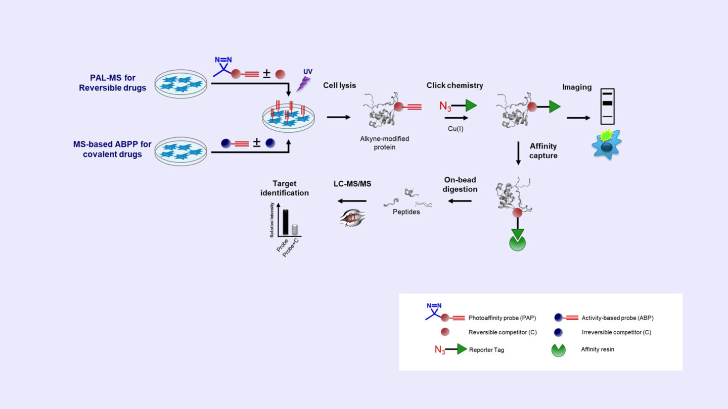 Gloabl assessment of Drug target engagement selectivity EDT